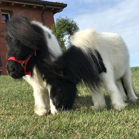 B&B Ca Bianca Dell'Abbadessa San Lazzaro di Savena Zewnętrze zdjęcie