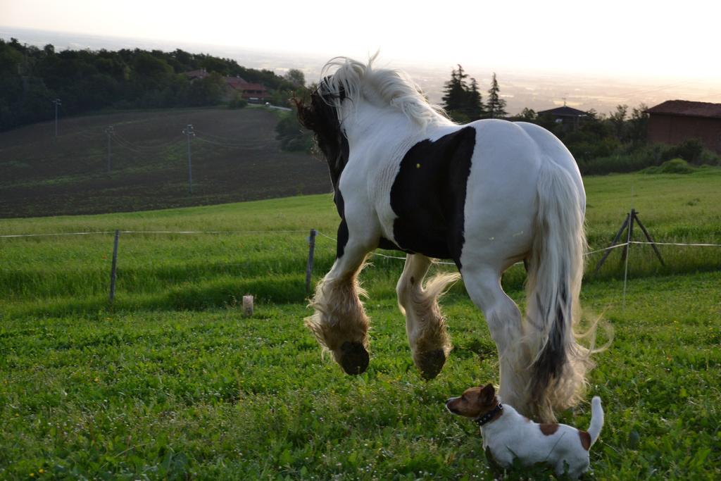 B&B Ca Bianca Dell'Abbadessa San Lazzaro di Savena Zewnętrze zdjęcie