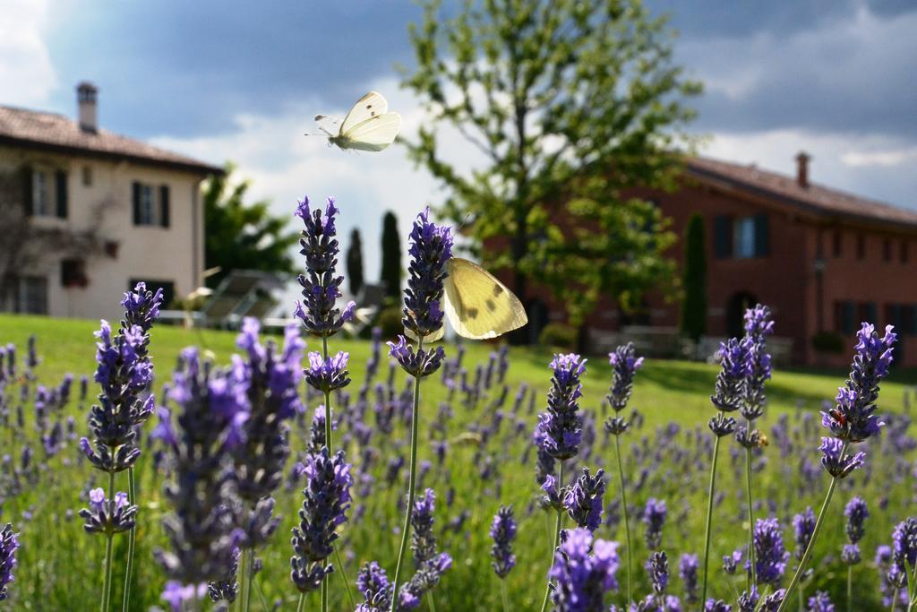 B&B Ca Bianca Dell'Abbadessa San Lazzaro di Savena Zewnętrze zdjęcie